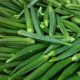 Lady Finger