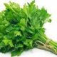 Coriander
