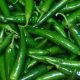 Green Chilli