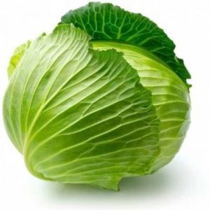 Cabbage