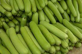 Bottle Gourd