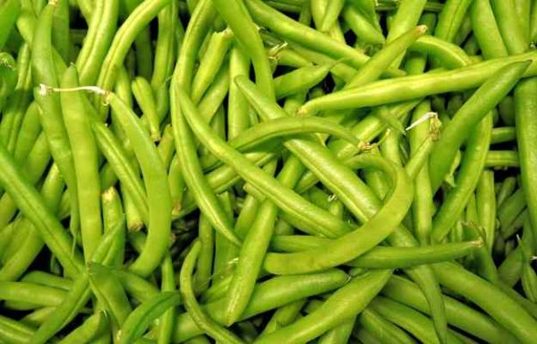 Cluster Beans