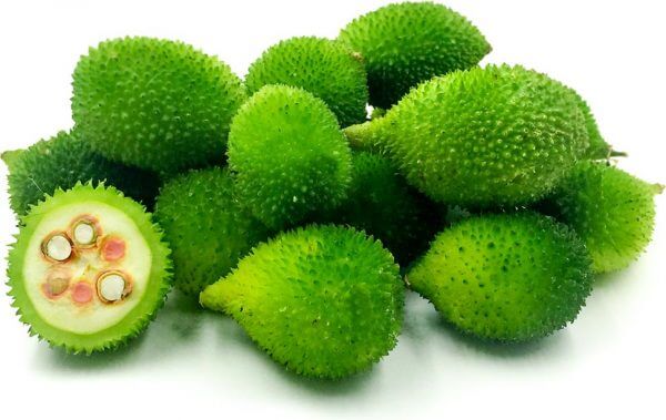 Spiny gourd