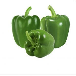 Capsicum
