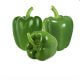 Capsicum